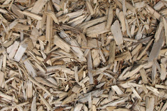 biomass boilers Tregidden