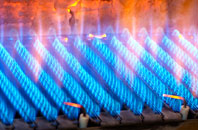 Tregidden gas fired boilers